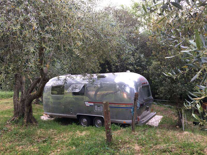 Une pause à l'ombre