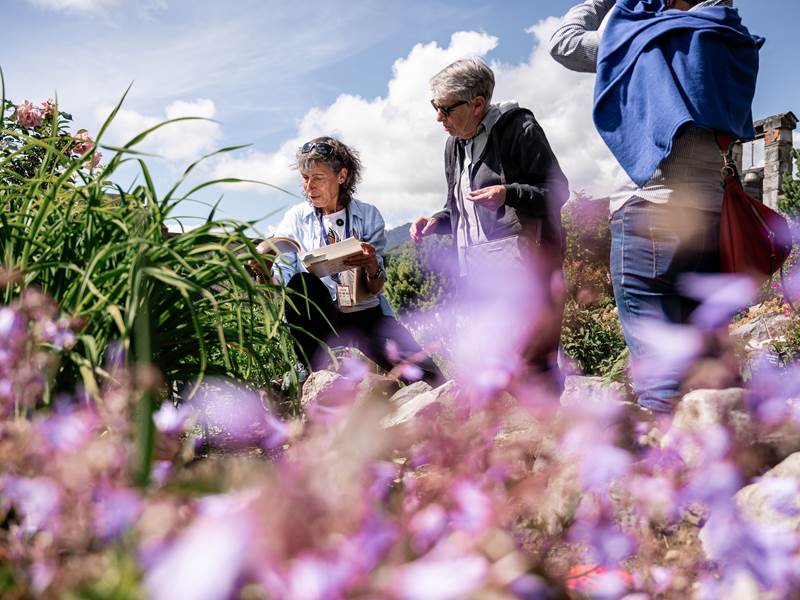 Chateau-fort-Lourdes-visite-Pyrénées-musée-jardin