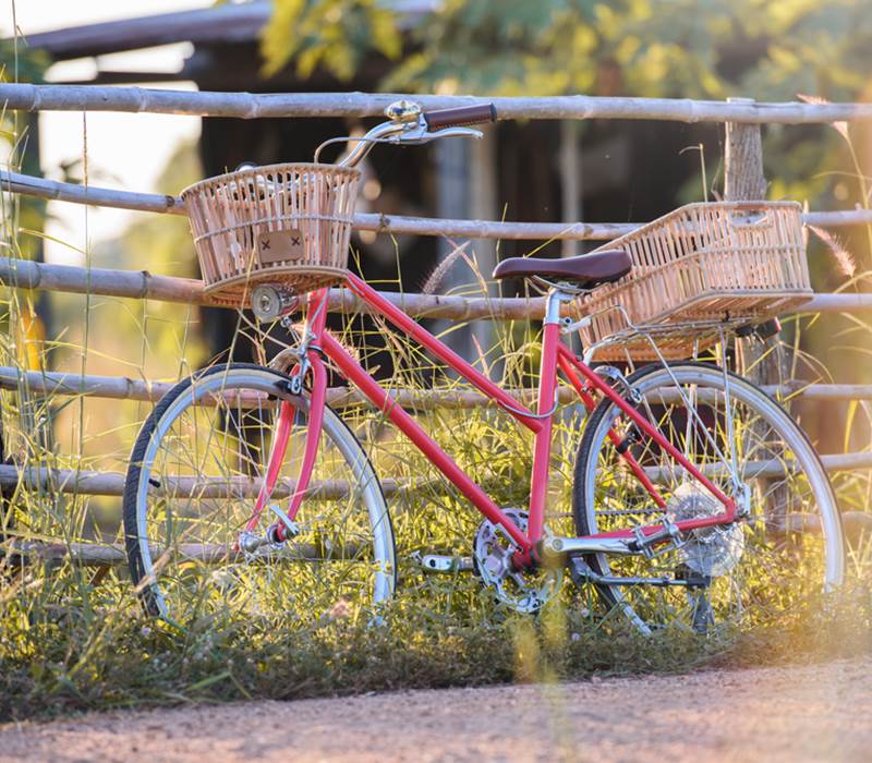 ile-de-re-bike-and-co