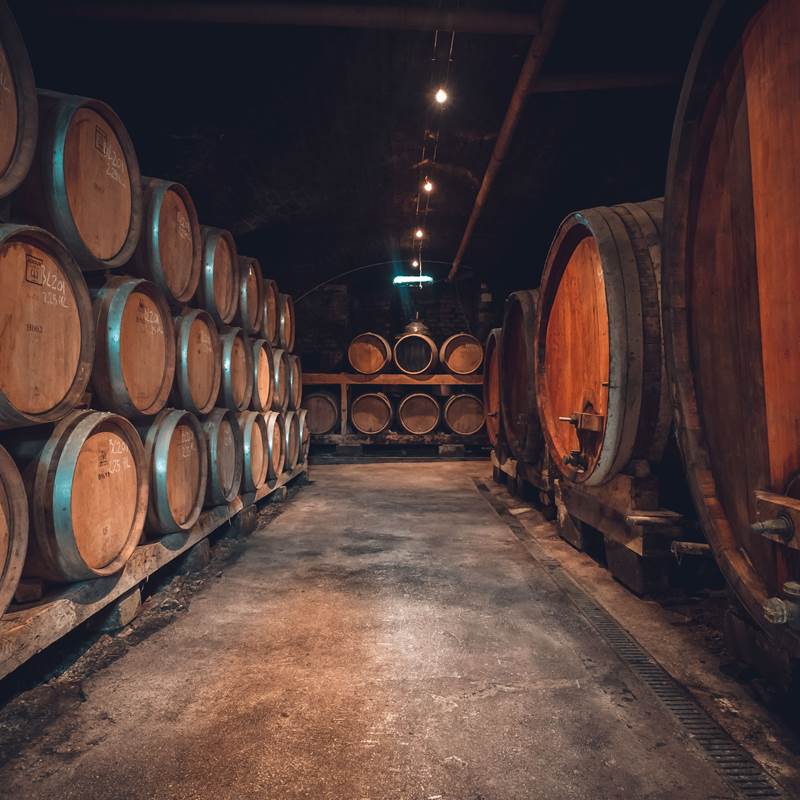 Domaine baud - Photos cave à blancs