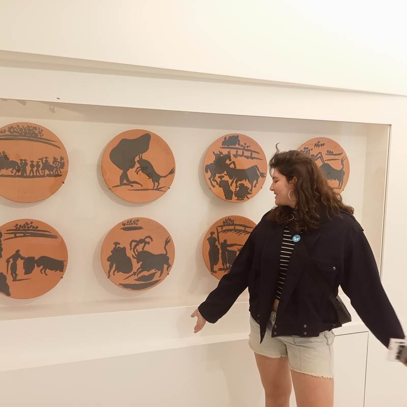Le Mas Palegry chambres d'hôtes Perpignan - A 35 minutes du Musée d'Art Moderne de Céret