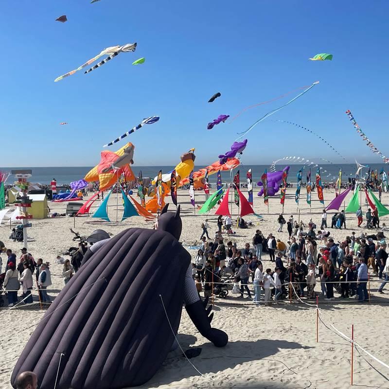 Location de velos electriques - Cerfs volants Berck-galerie