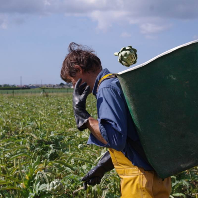 Notre exploitation-galerie