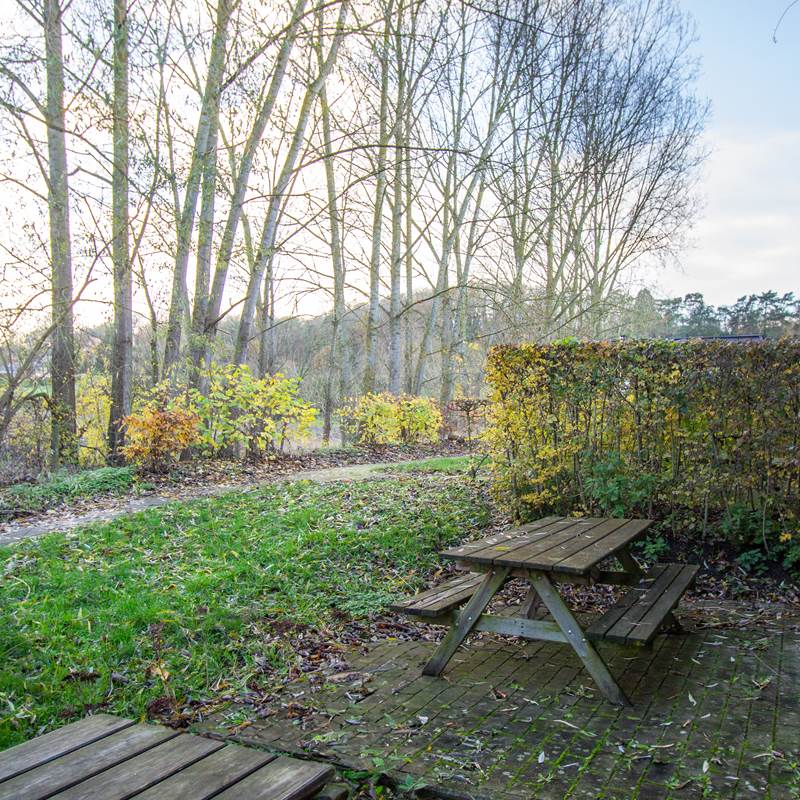 Terrasse + jardin