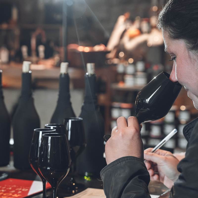 crash-record-jura-domaine-baud-le-vernois-75