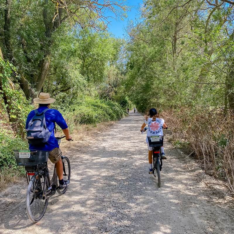 circuit-guide-cailar-4-galerie