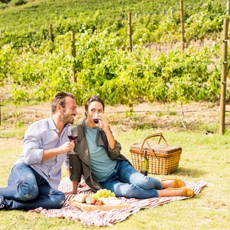 toute-longueur-du-couple-ayant-du-vin-au-vignoble_107420-14749(1)