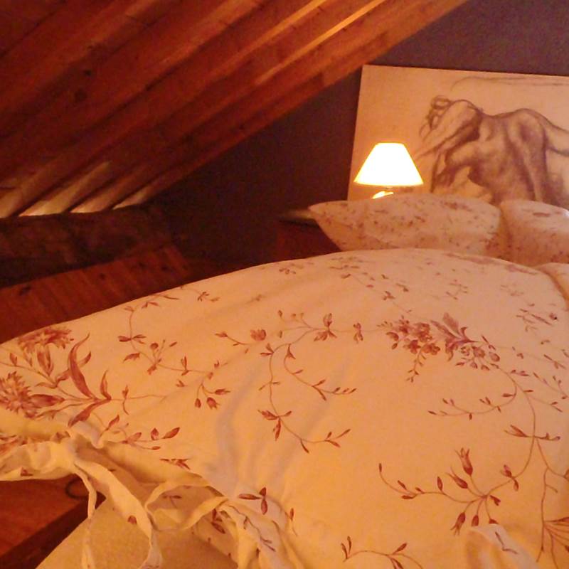 chambre louve