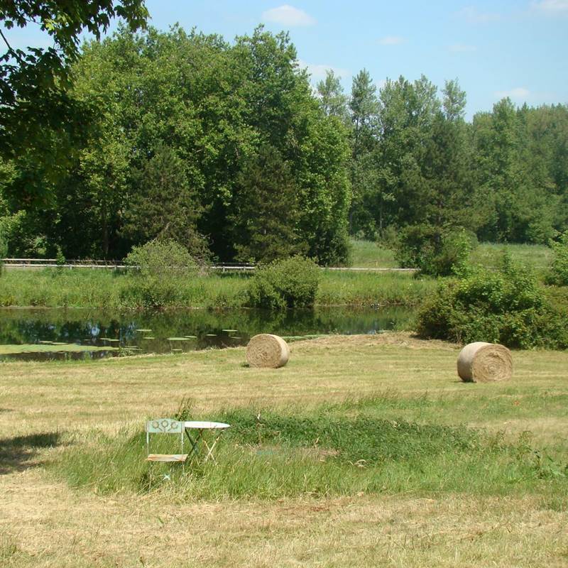 Vue sur l'étang et le parc