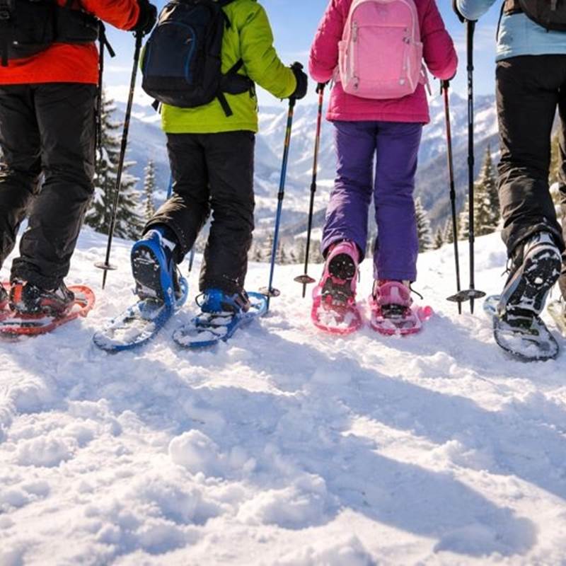 image raquette famille-galerie