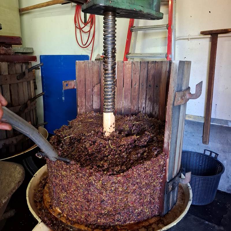 vigneron indpendant alsace