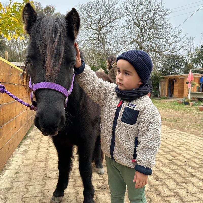 balade à poney Pyrénées-Orientales  promenade poney 66  activité enfant Pyrénées-Orientales  poney club 66  centre équestre Pyrénées-Orientales  balade à cheval 66  activité famille Pyrénées-Orientales  équitation enfant 66  balade à poney près de Perpignan  balade à poney bompas, claira, toreilles, barcares, canet en roussillon, sainte marie, Thuir, Pézilla, elne, cabestany, rivesaltes, saint estève-galerie