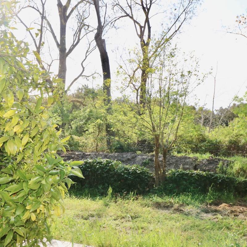 Gites Terra di a Bravona - Appartement O'Ma Vue sur Jardin