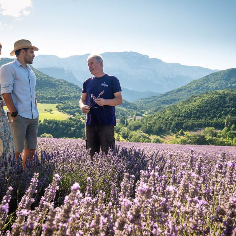 Atelier participatif : récoltez puis distillez la lavande sur place.-galerie