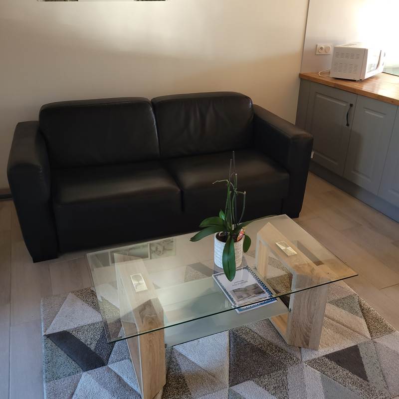 Salon (canapé convertible et table basse)