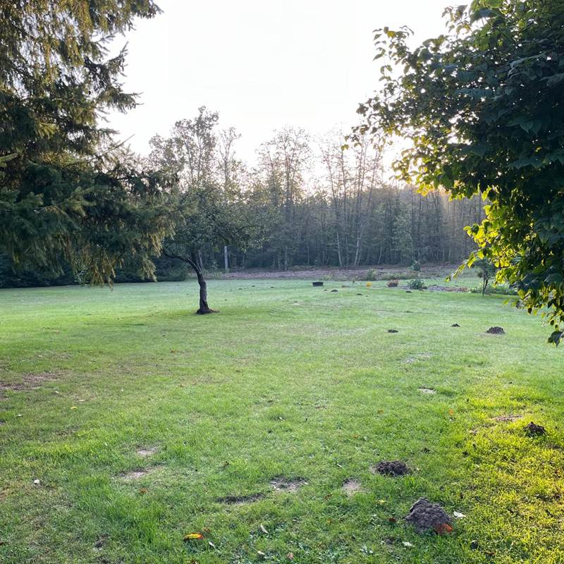 location-avec-jardin-pour-vacances-Mans