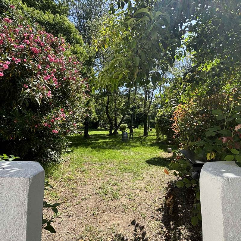 ELIA EXT - GITES TERRA DI A BRAVONA