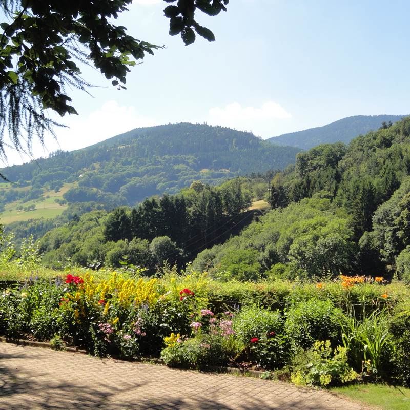 vue sur les Vosges