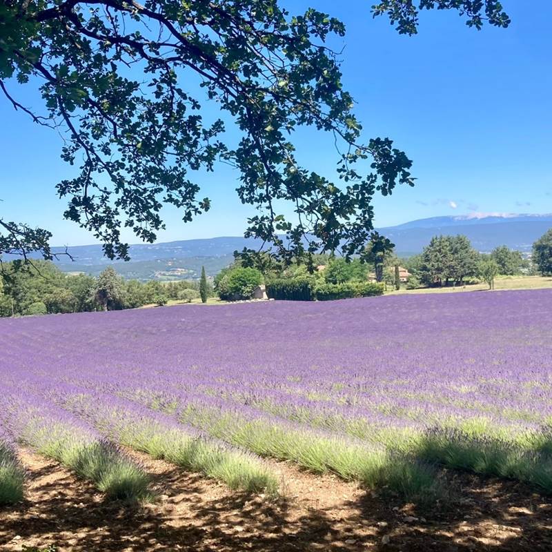 tempImageLH6Bqq-galerie