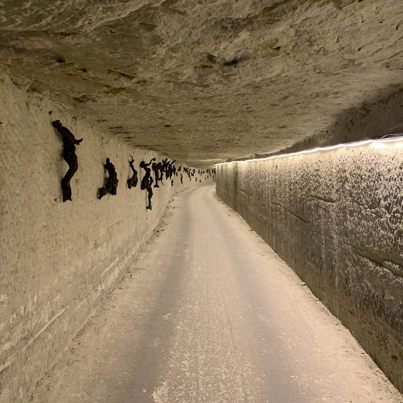 Galerie_ceps-galerie