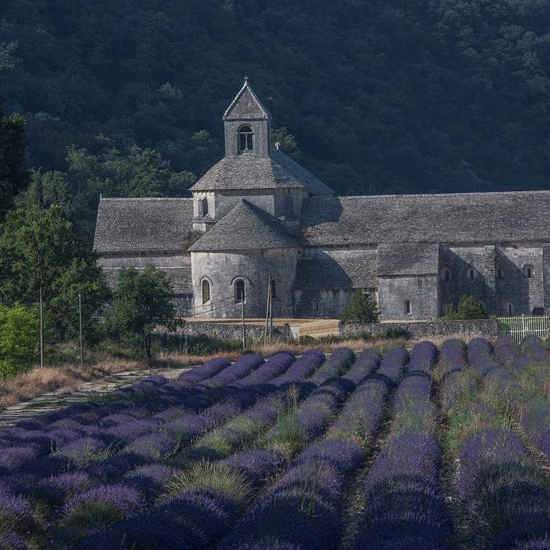 Abbaye de Sénanque-img-around