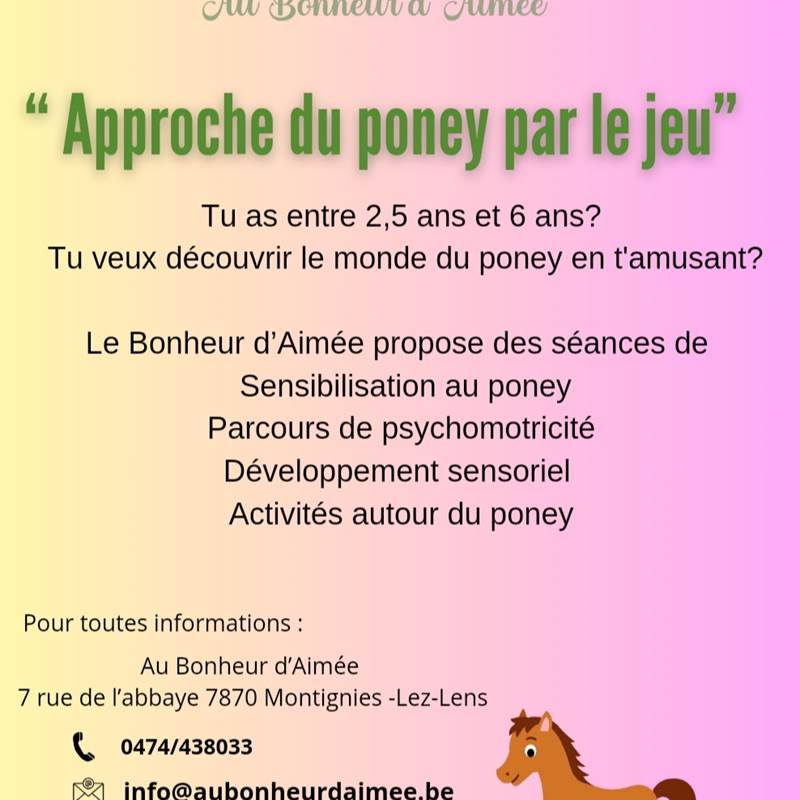 Approche du poney par le jeu-photo-news