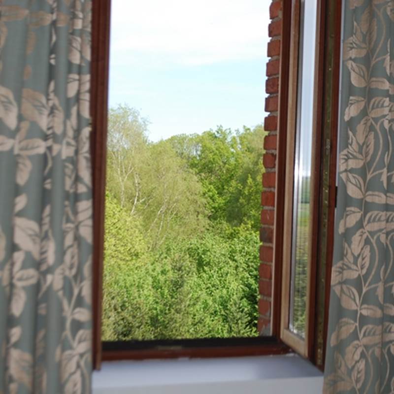 vue sur la nature Chambre Cabanon En Haute-Vienne Le Ranch des Lacs