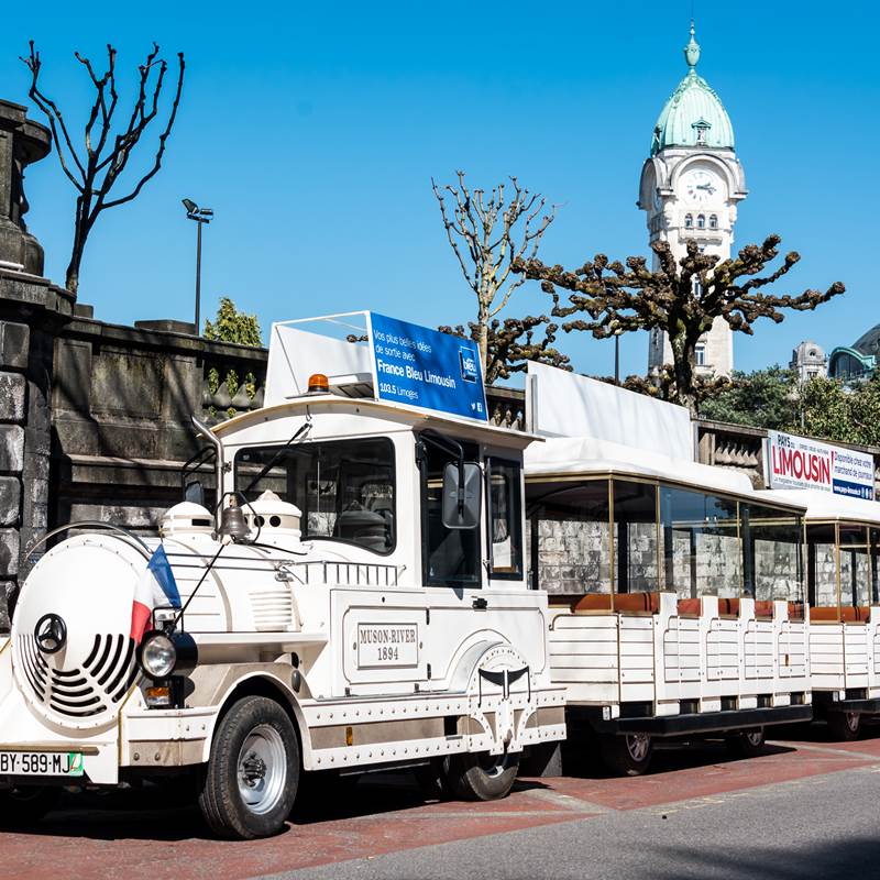 Petit Train DOTTO - 2019-img-around