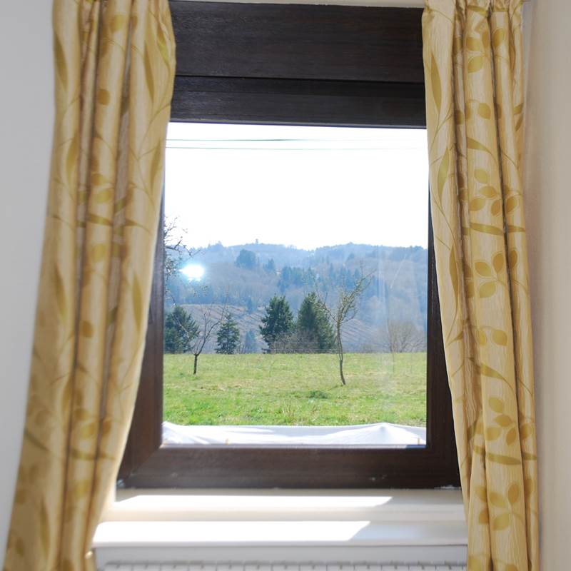 vue depuis la chambre Paul Rebeyrolle Le Ranch des Lacs