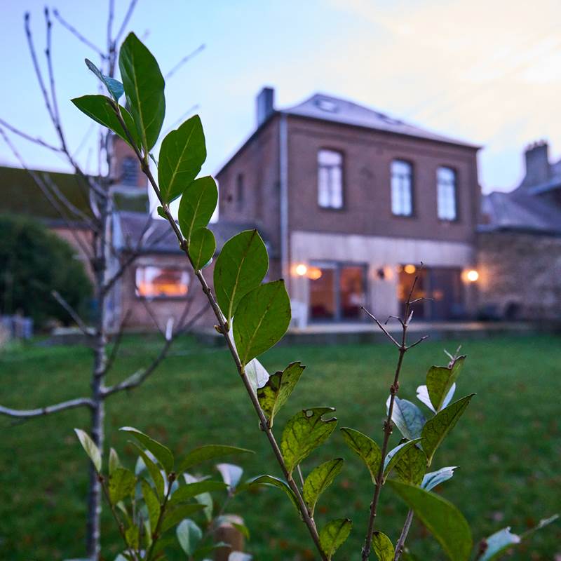 Garden back of the house