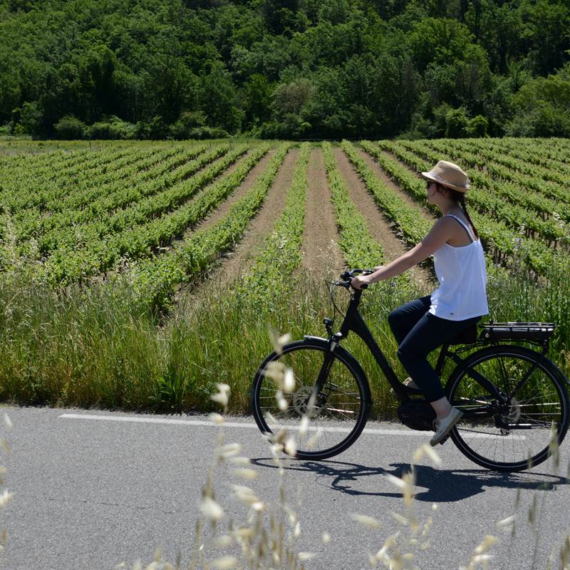 APT-location-velo-electrique-vente-galerie