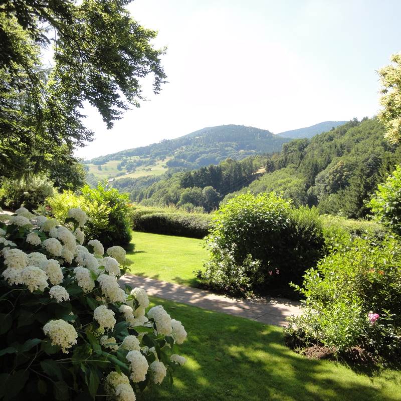 vue sur les Vosges
