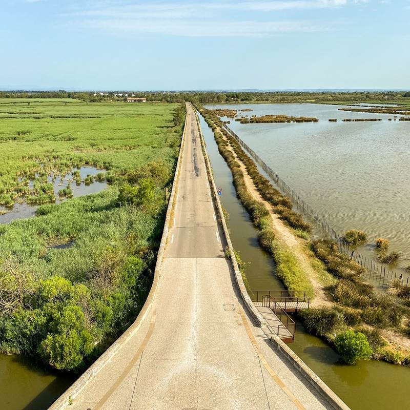 tour-carbonniere-2-galerie