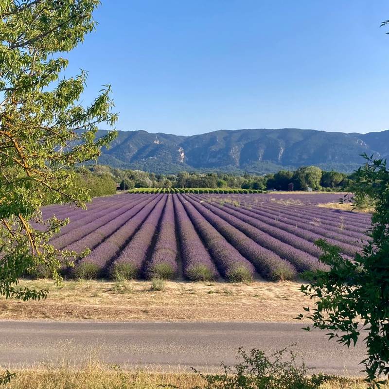 tempImageAIlw9W-galerie