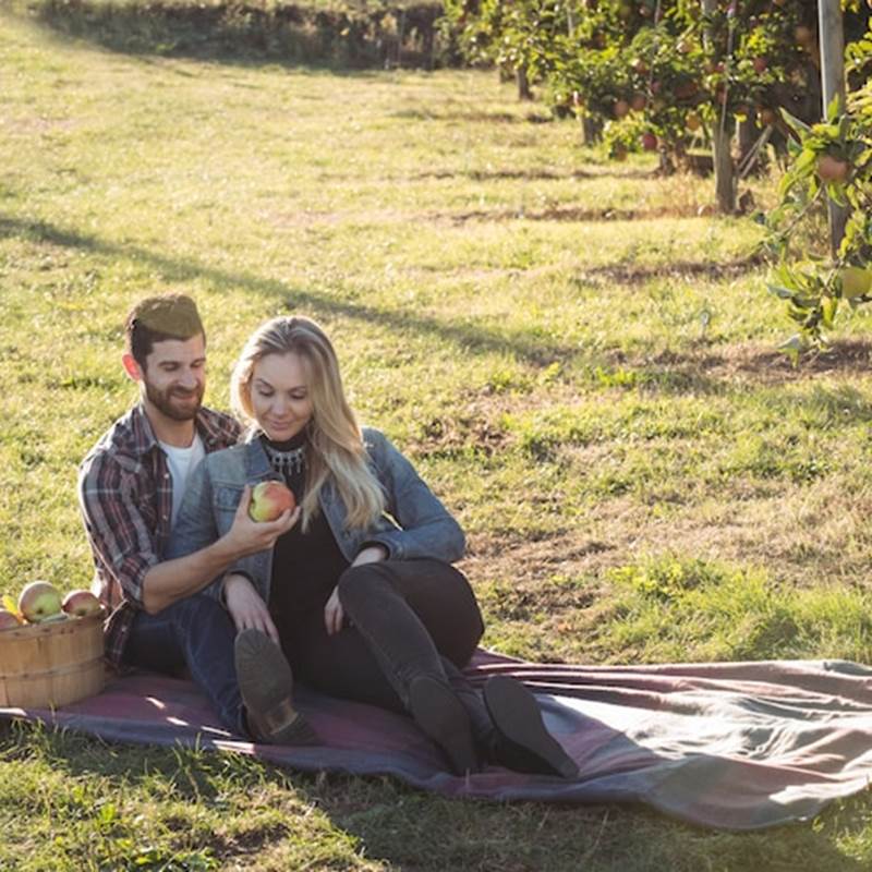 couple-heureux-ensemble-assis-couverture-dans-verger-pommiers_107420-12231