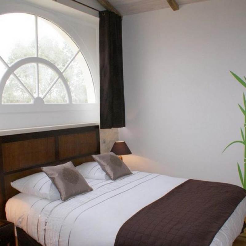 Eucalyptus suite parentale
