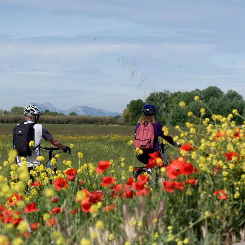 la-roque-d'antheron-location-velo-electrique-vente-galerie