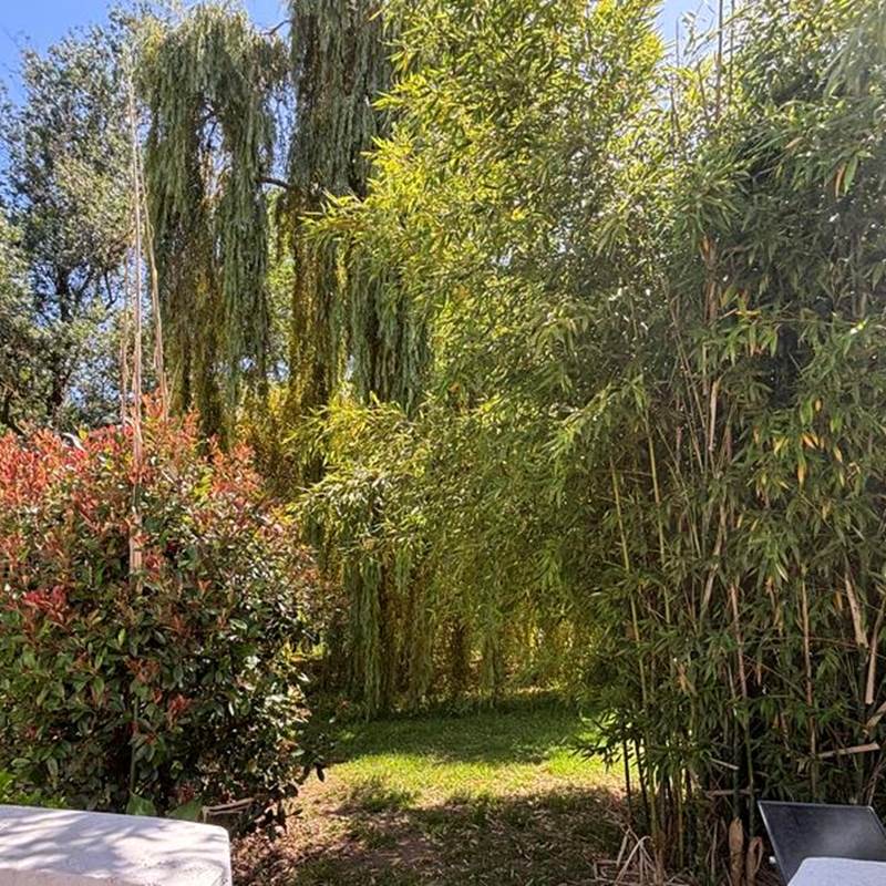 LENA EXT 2 - GITES TERRA DI A BRAVONA