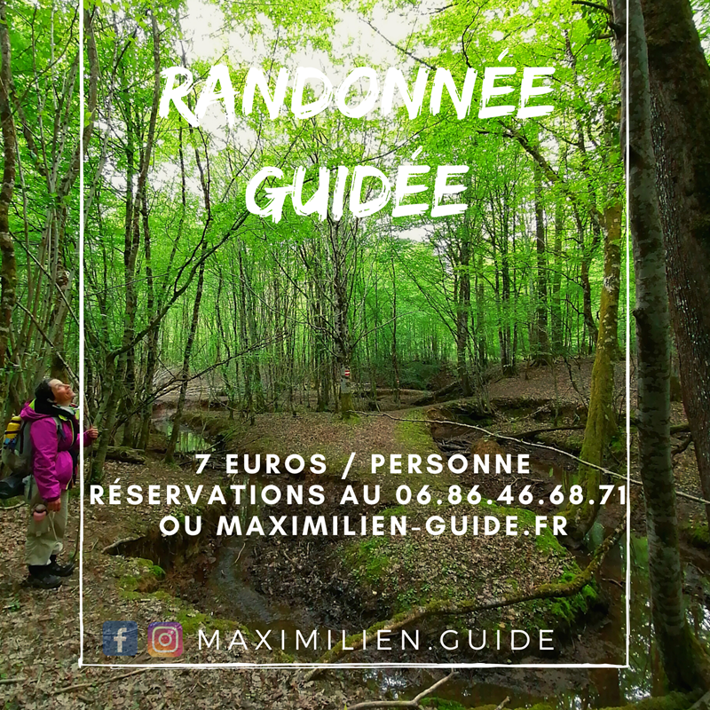 randonnée guidée (2)