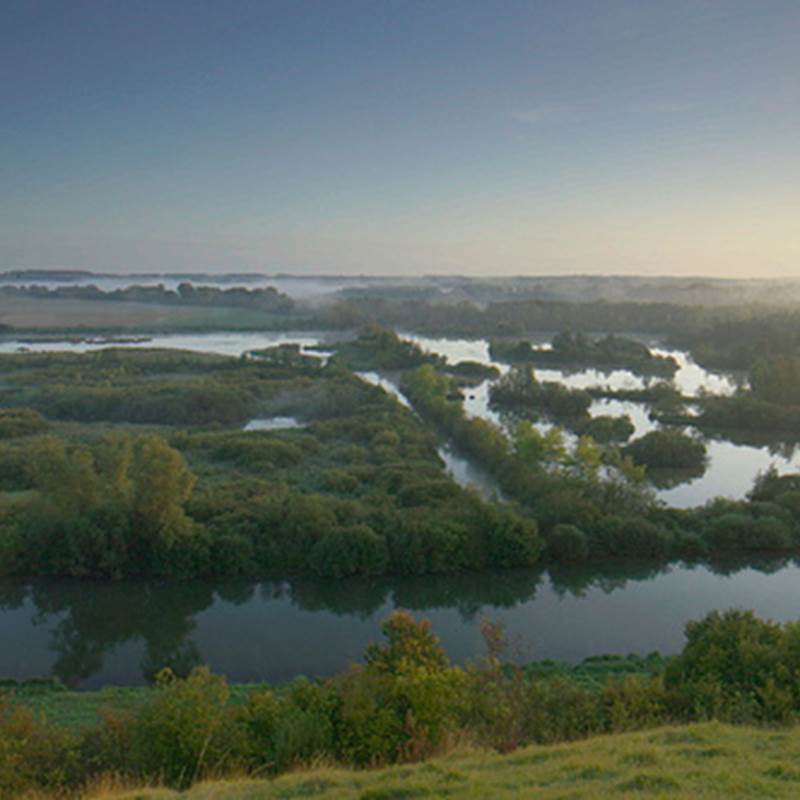 frisemontagne2-galerie