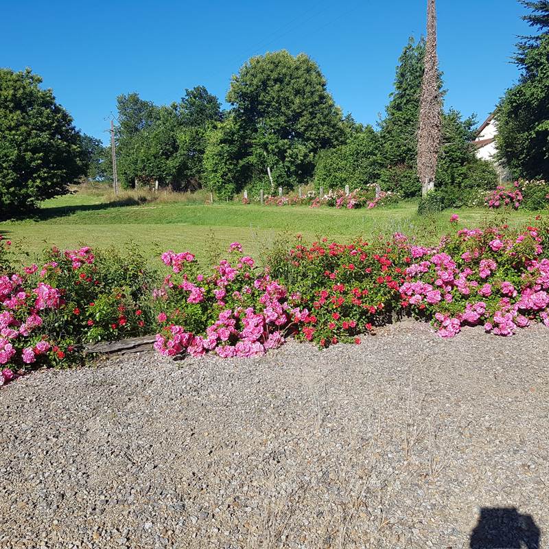 jardin fleuri Le Ranch des Lacs