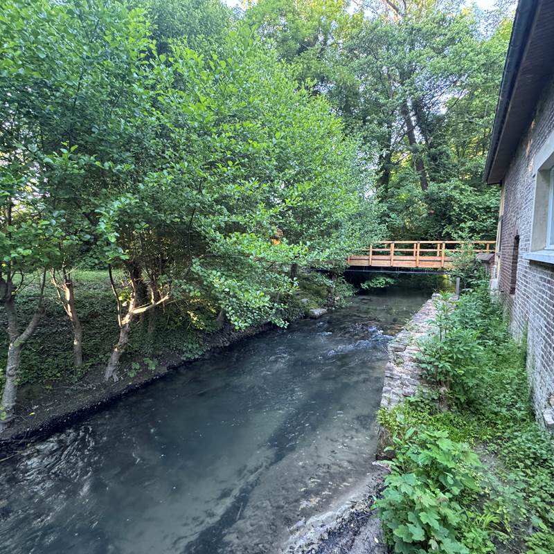 pont île merveilleuse