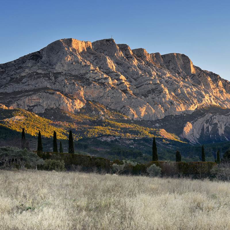 station-bee's-location-velo-electrique-vente-galerie