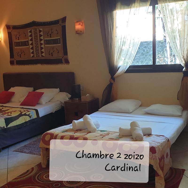 Chambre 2 Zoizo Cardinal 30m2
