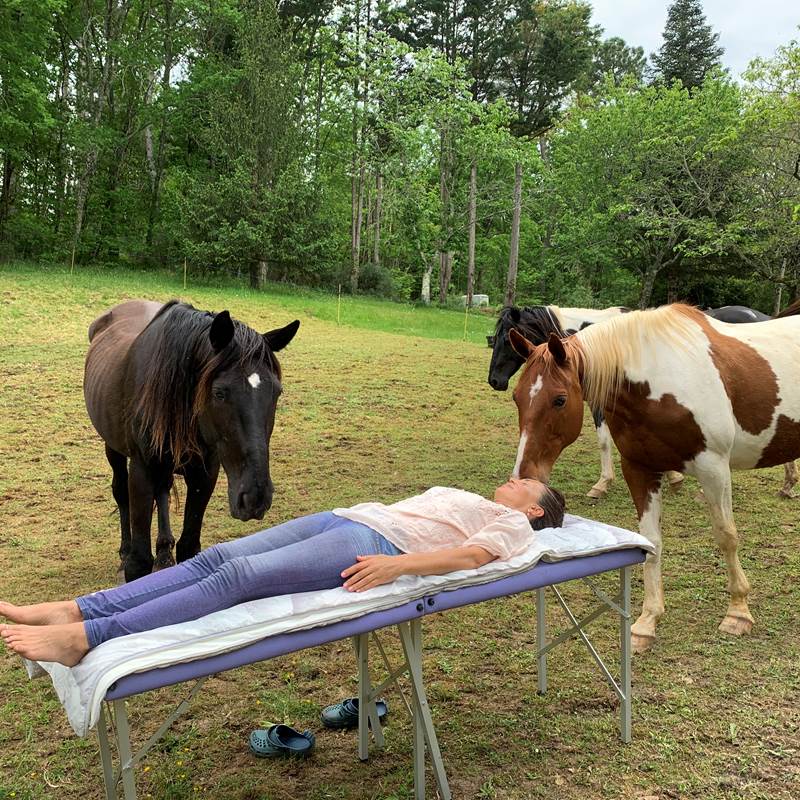 soin japonais: Reiki avec les chevaux