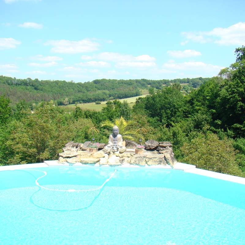 piscine à double débordements et traitée au sel, vue