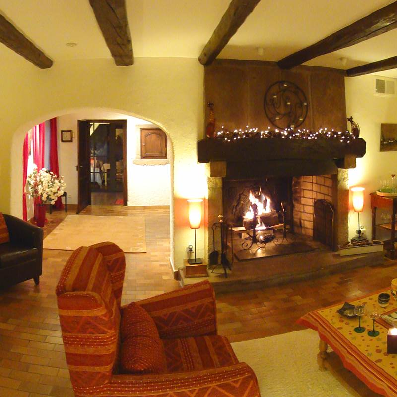 le salon avec la cheminée