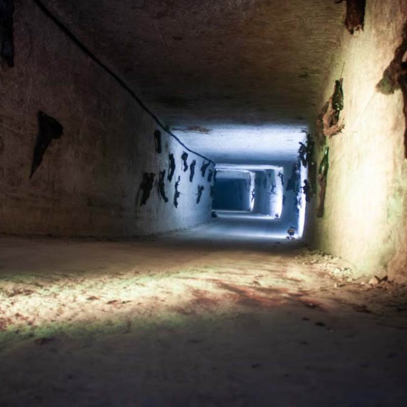 photo couverture-galerie