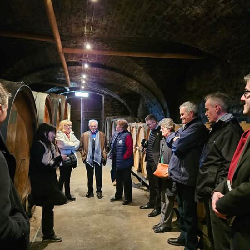 FB_IMG_1741769000132