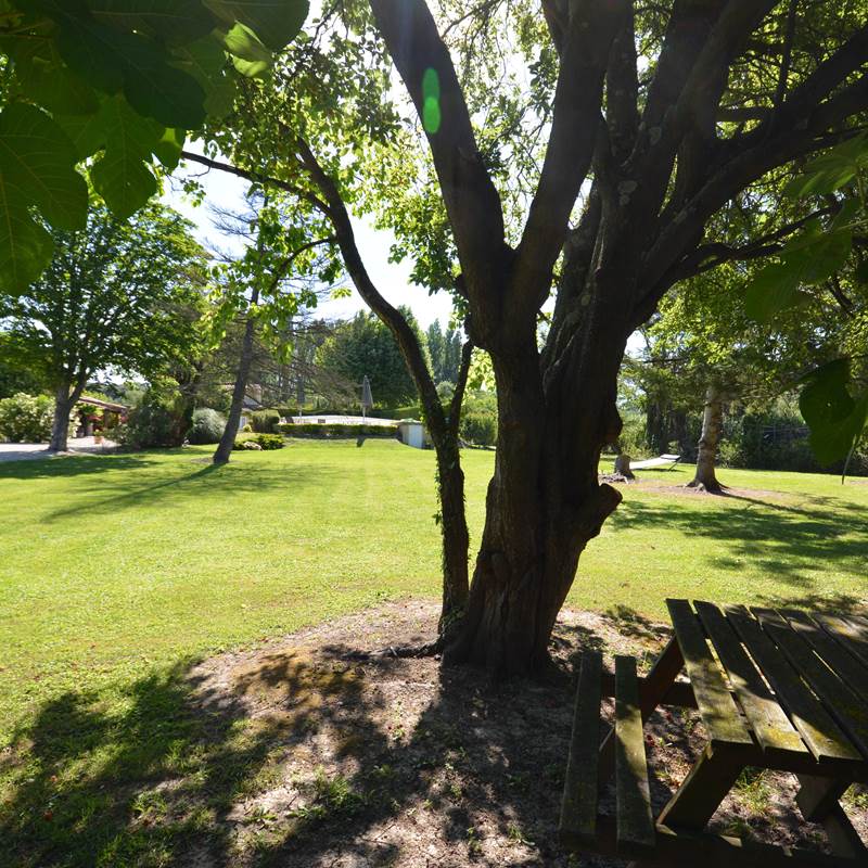 le parc ombragé du Mas Julien